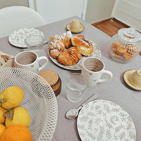 Oxalis & Vendégház