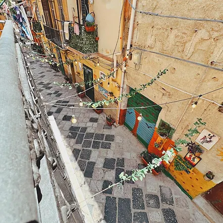 Oxalis & Vendégház Palermo